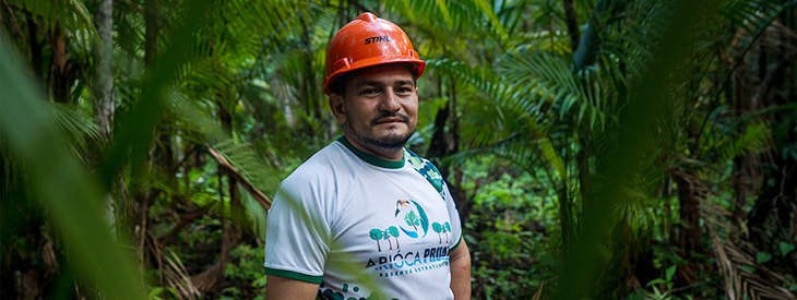 Ideias que Florescem na Amazônia